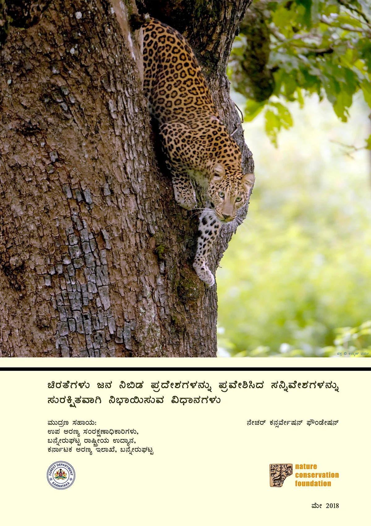 ಚಿರತೆಗಳು ಜನ ನಿಬಿಡ ಪ್ರದೇಶಗಳನ್ನು ಪ್ರವೇಶಿಸಿದ ಸನ್ನಿವೇಶಗಳನ್ನು ಸುರಕ್ಷಿತವಾಗಿ ನಿಭಾಯಿಸುವ ವಿಧಾನಗಳು (Safely handling situations when leopards enter human dense areas - Kannada version)