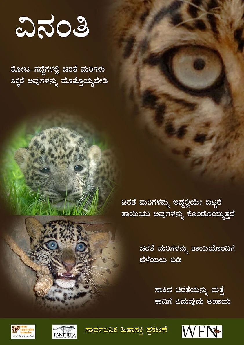 Poster for public information campaigns to dissuade people from "rescuing" leopard cubs