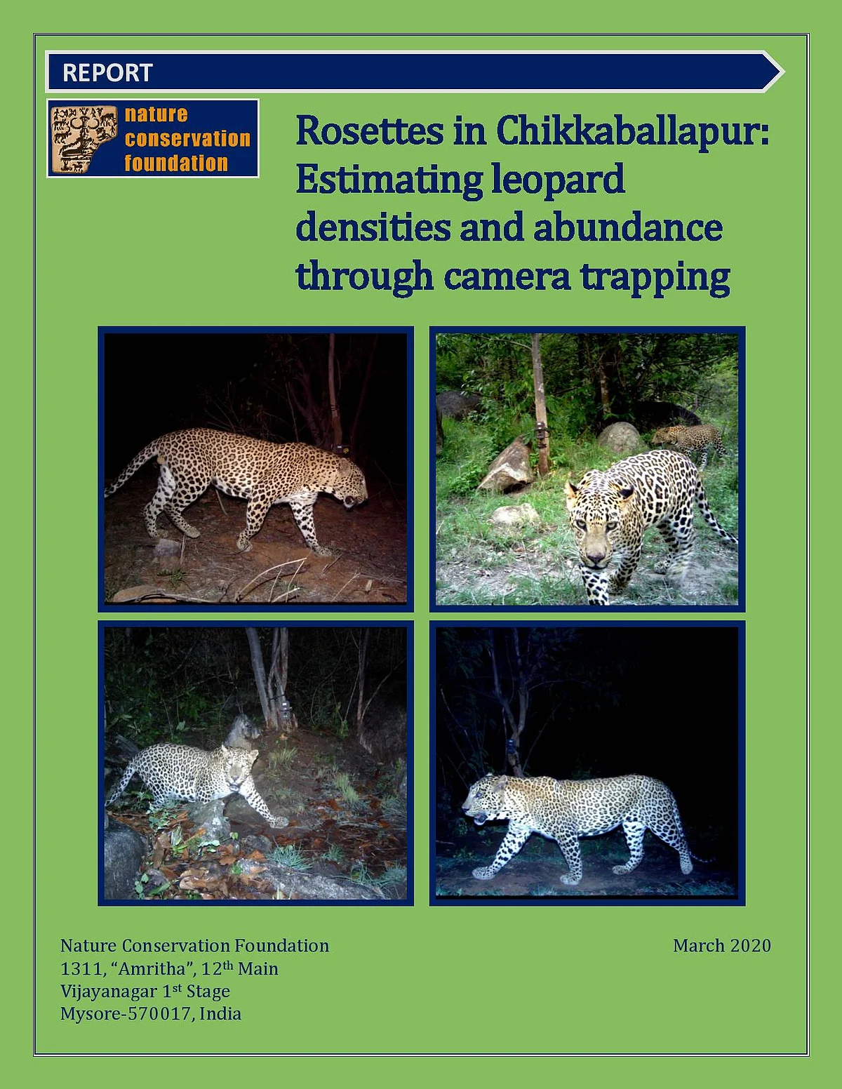 Rosettes in Chikkaballapur: Estimating leopard densities and abundance through camera trapping