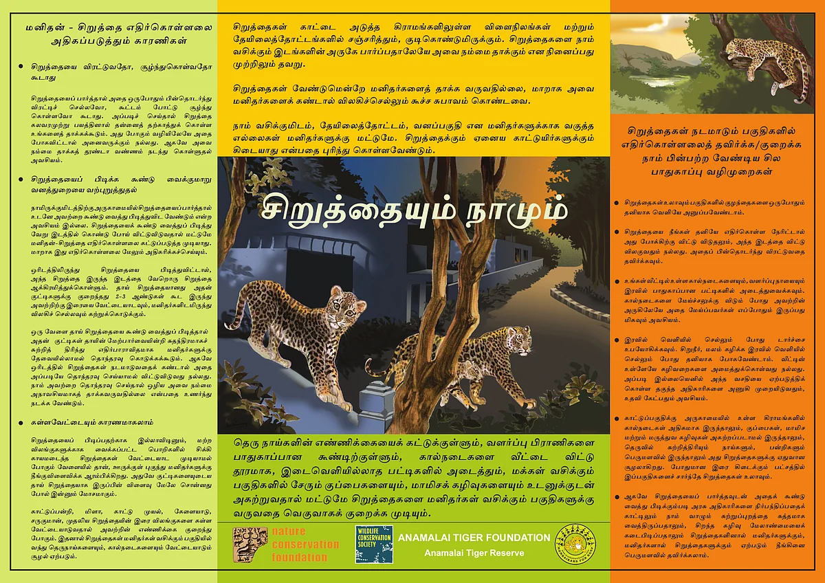 சிறுத்தையும் நாமும்