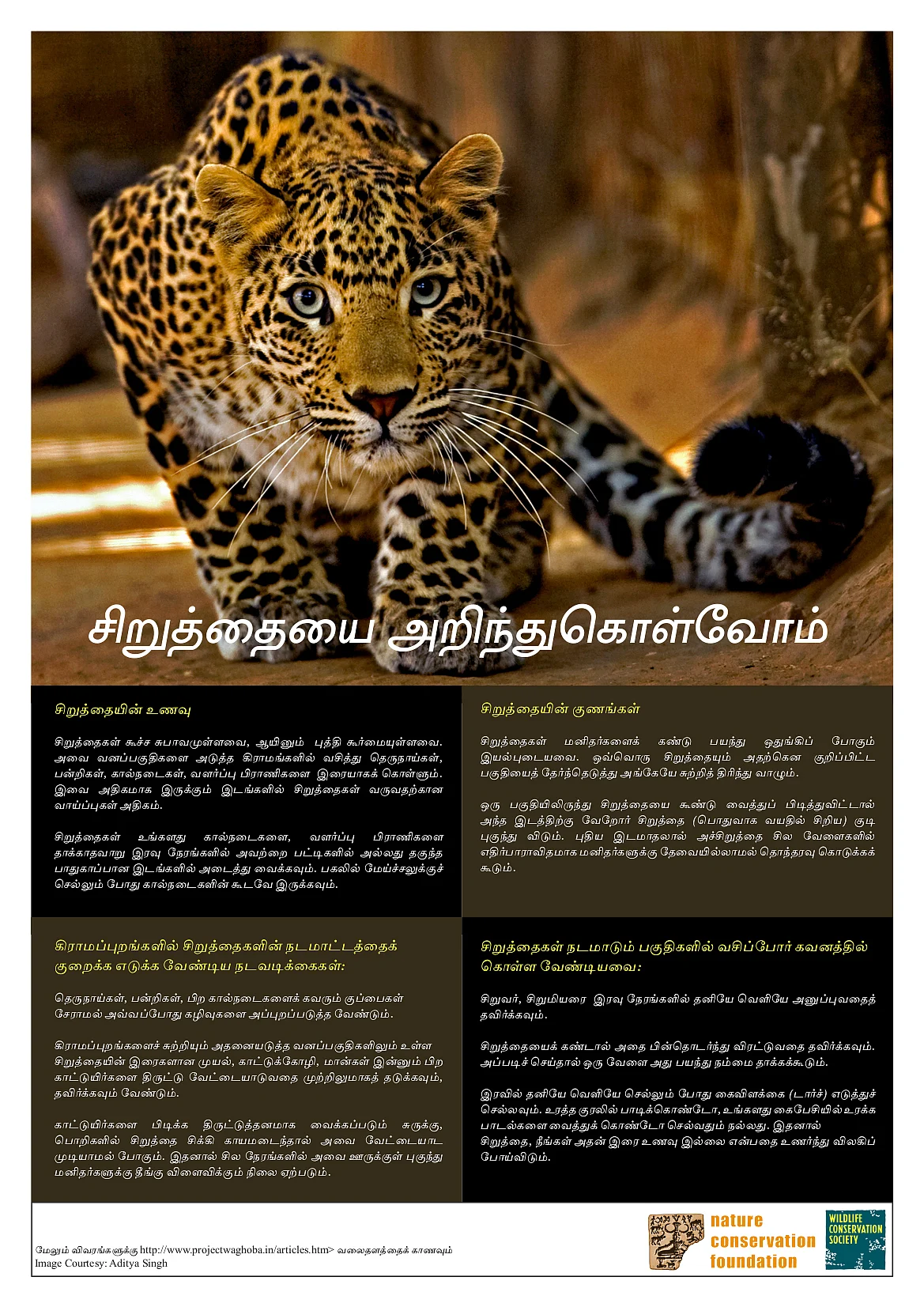 சிறுத்தையை அறிந்துகொள்வோம்