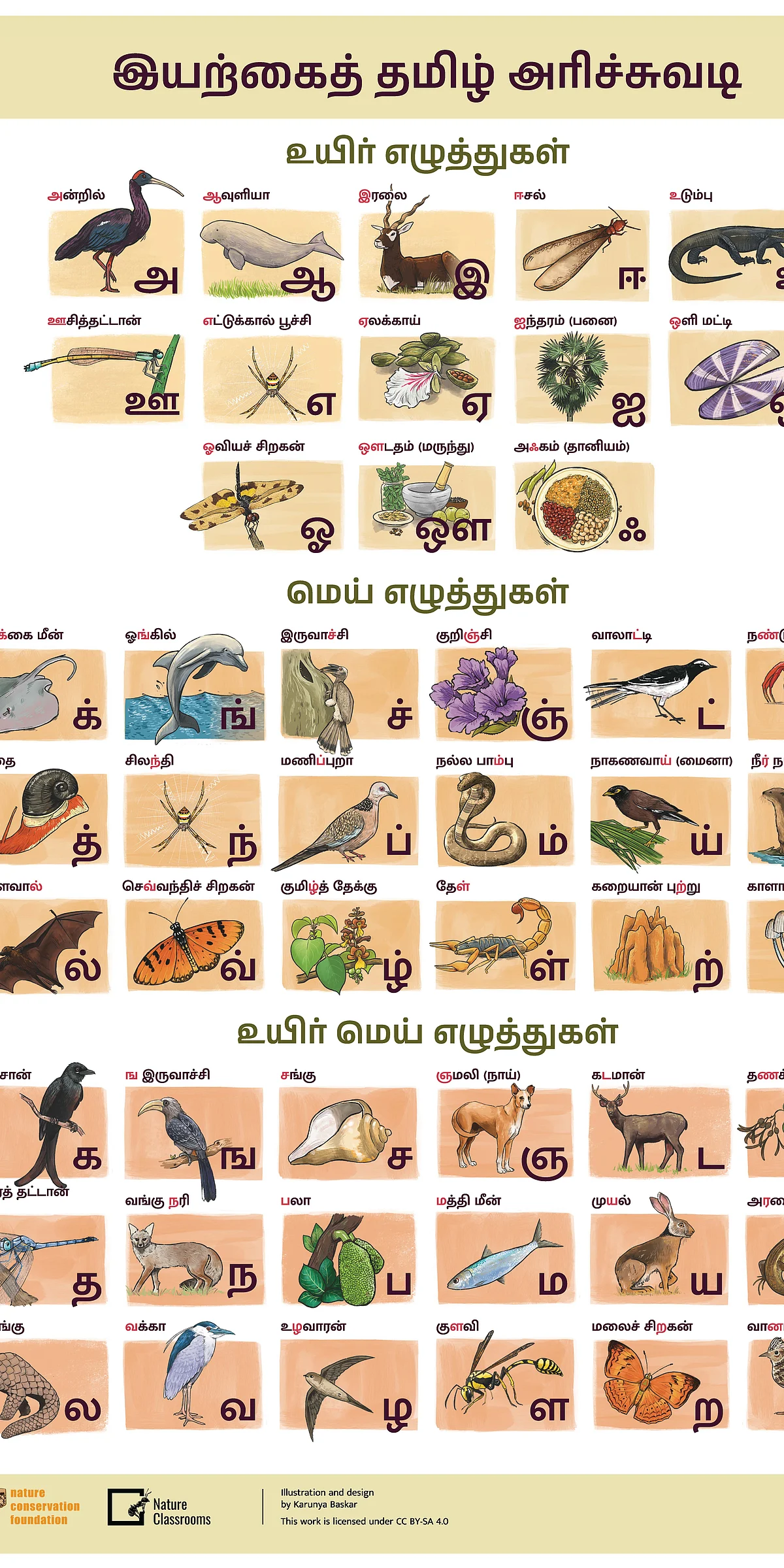 Nature Alphabets in Tamil