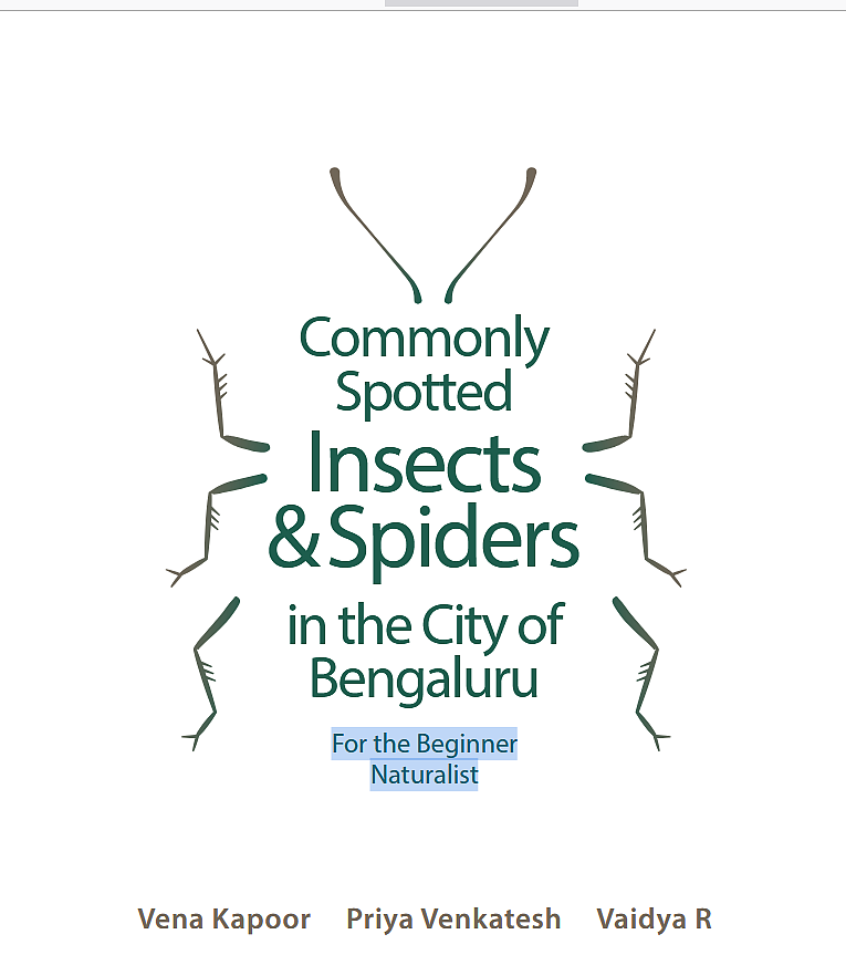 Commonly spotted Insects and Spiders
in the city of Bengaluru