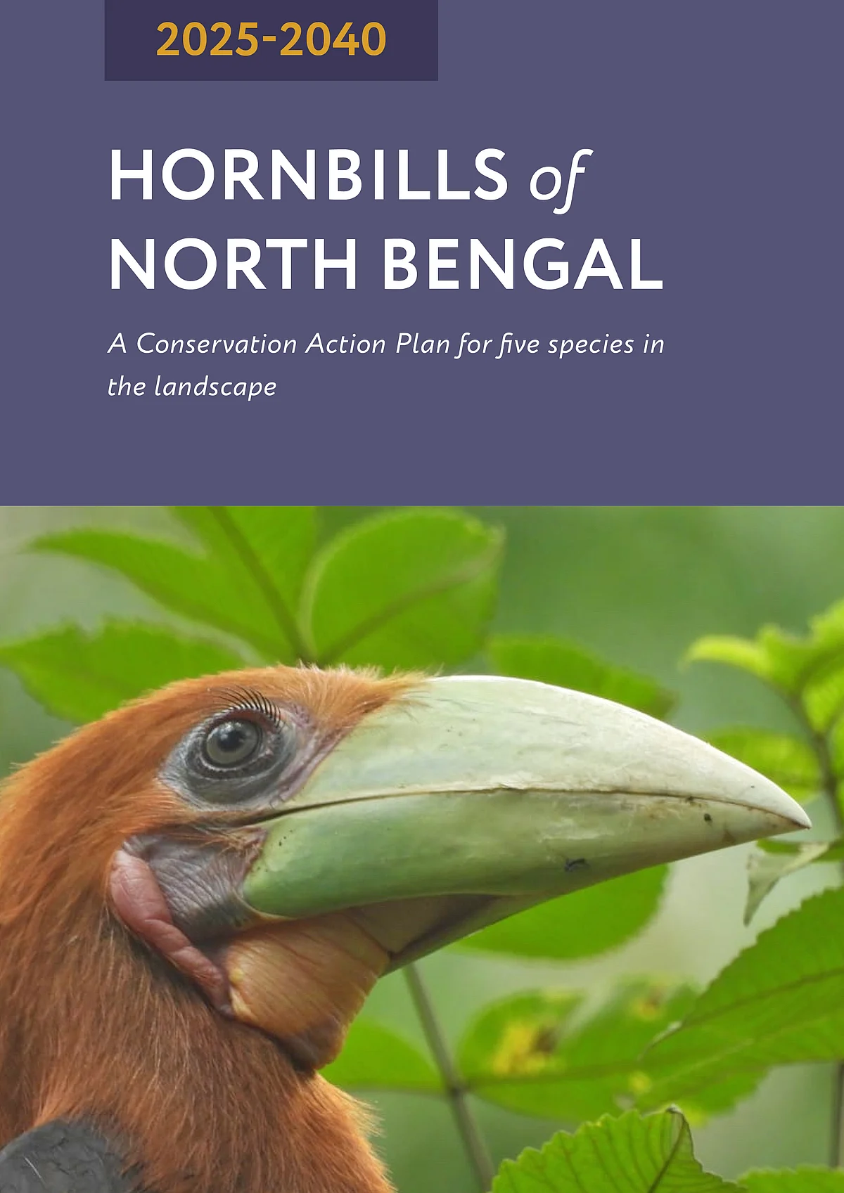 A Conservation Action Plan for hornbills in North Bengal