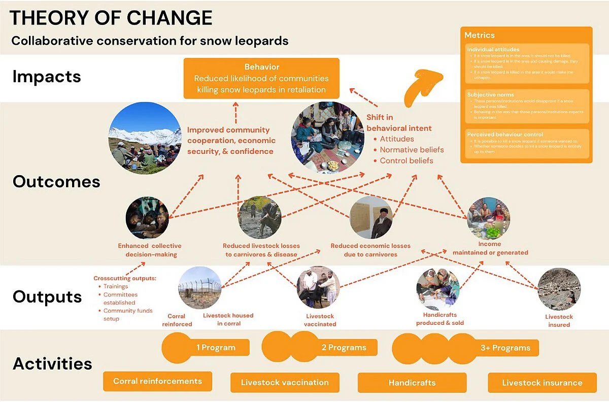 Collaborative conservation for snow leopards: Lessons learned from successful community-based interventions