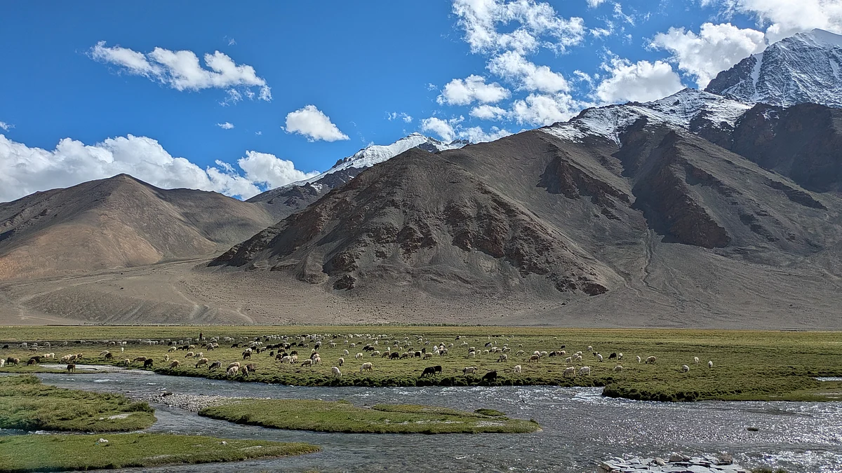 Imagining Changthang 2050: Ladakh Restoration Visioning Exercise 2025. Leh, Ladakh