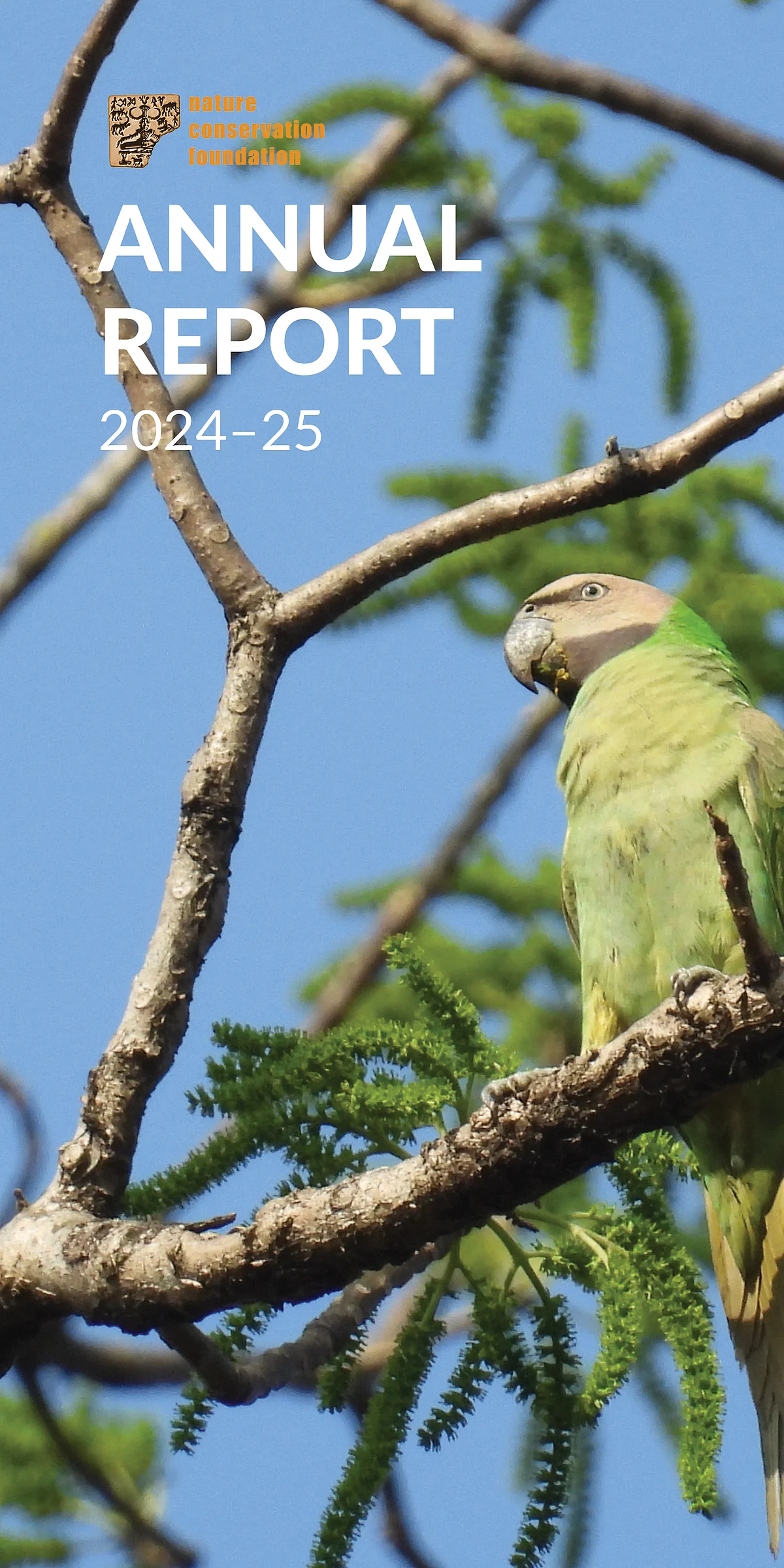 Annual Report 2024-25