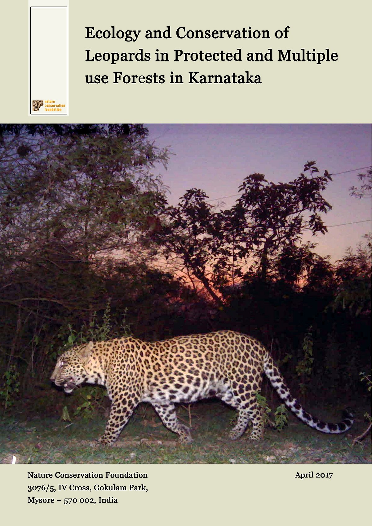 The secret lives of leopards