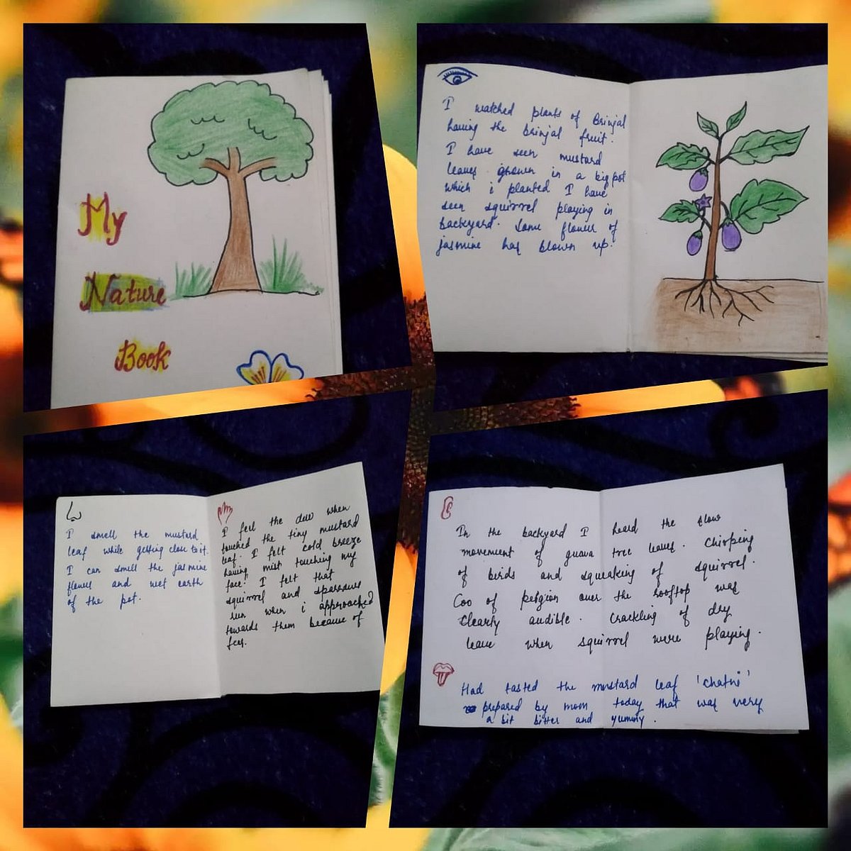 Age Appropriate and Locally Relevant Nature Learning Modules for Schools