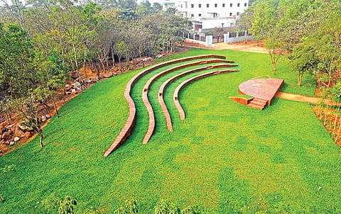 A tranquil forest comes to life in heart of Bhubaneswar