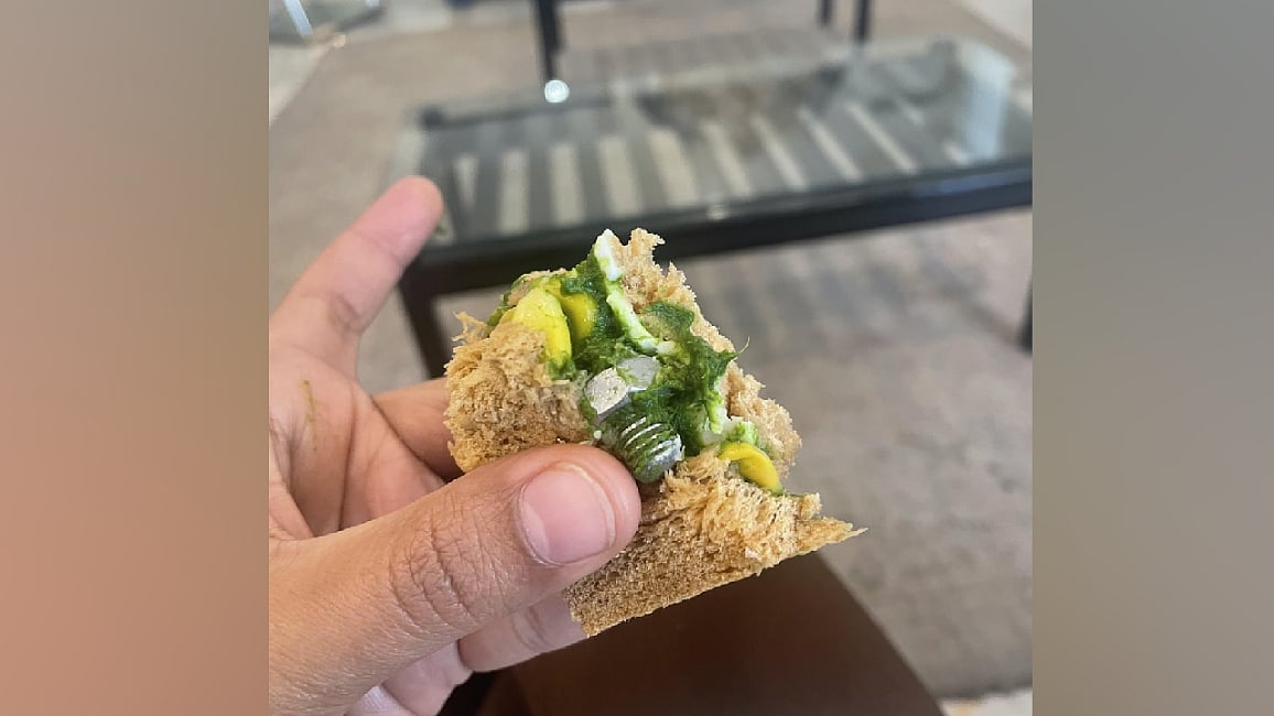 Flyer finds screw in sandwich given on Indigo flight