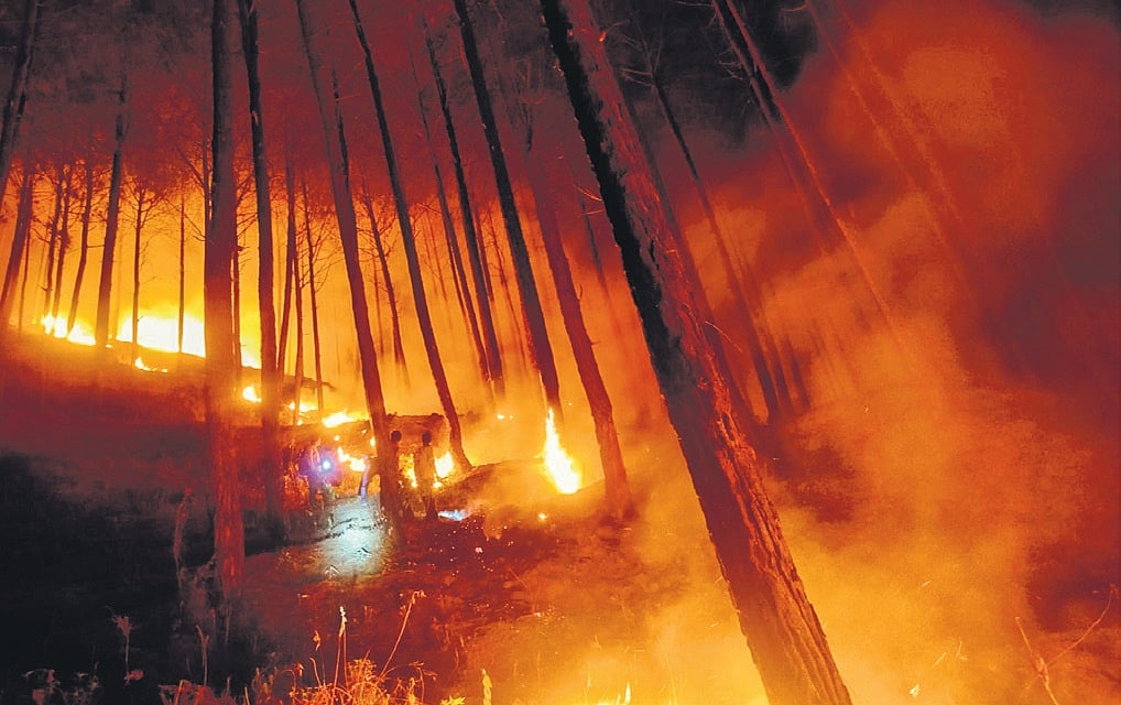 Uttarkashi to Yamunotri — forest fires rage in Uttarakhand - Vimarsana News