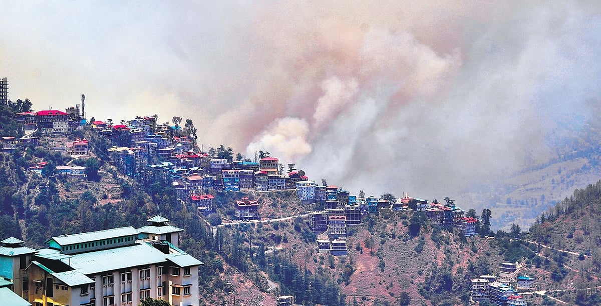 Over 1.3K wildfires in Himachal in one week - Vimarsana News
