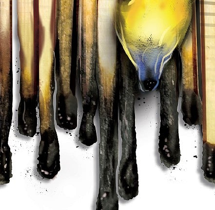 India Faces RecordBreaking Heatwave Fires, Health Crises, and Power