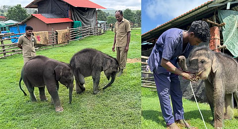 Orphaned and abandoned