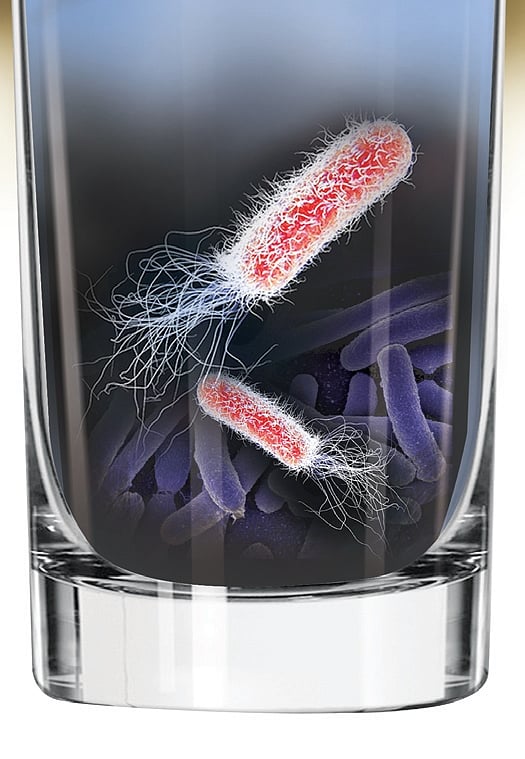 Lack of cleaning drive behind outbreaks of waterborne diseases in Kerala