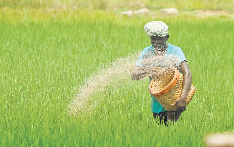 India's 2025 Budget: Urgent need for agricultural investment