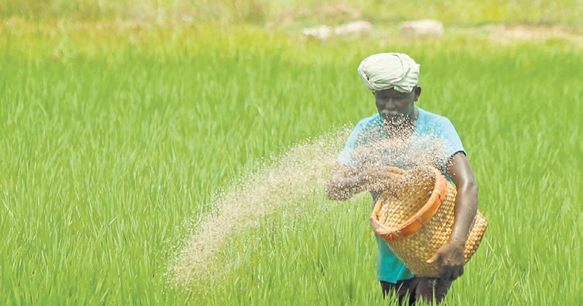 India's 2025 Budget: Urgent need for agricultural investment