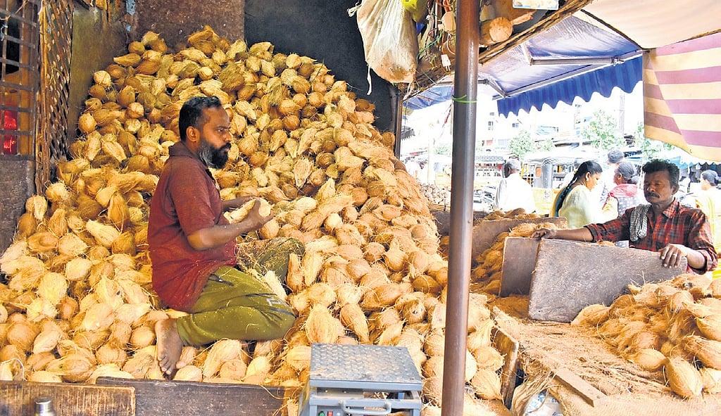 Coconut price goes north, but fails to cheer up farmers in Coimbatore