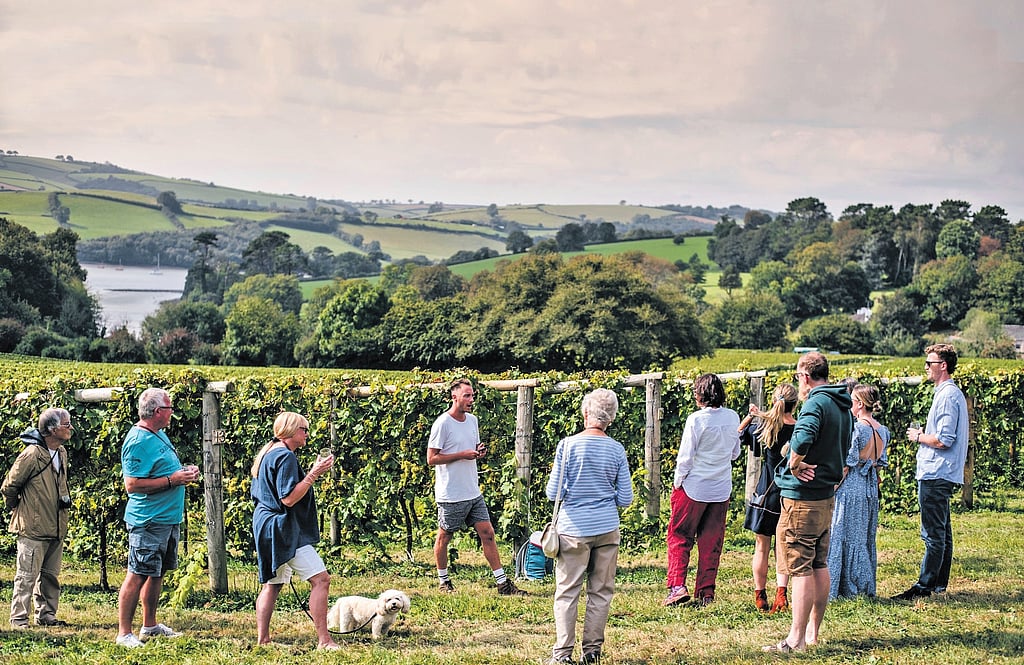 Matters of Red, White in Britain