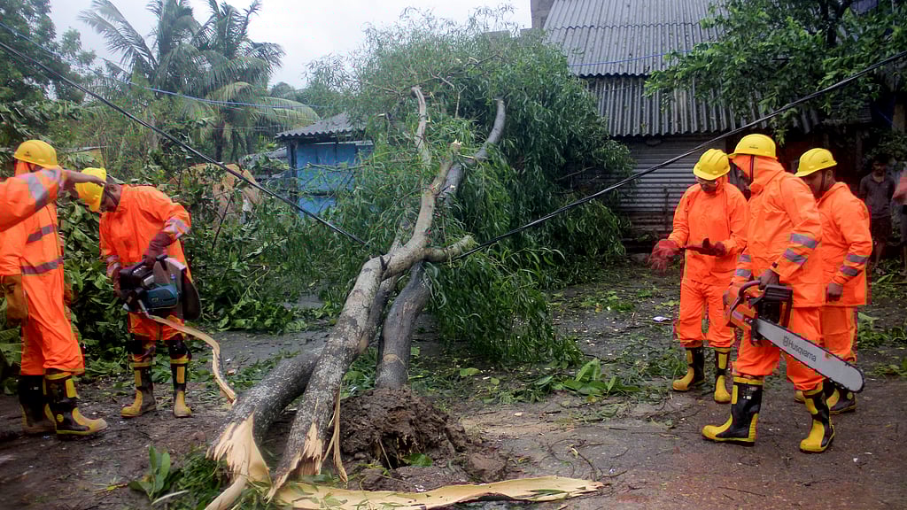 Odisha Fire Service focus on fallen trees