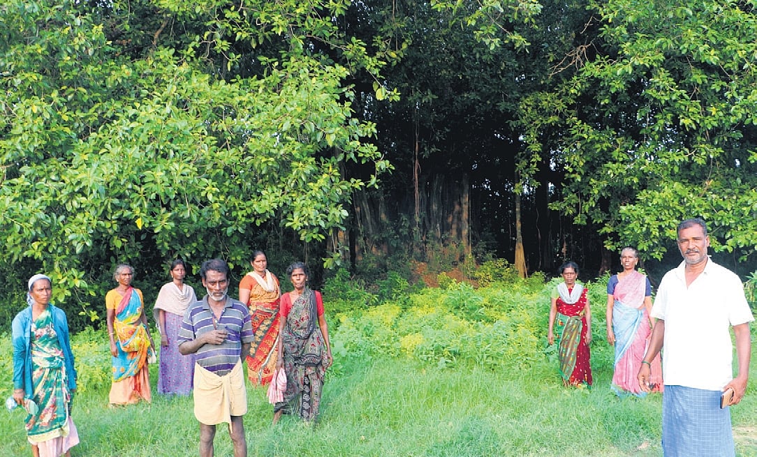 For this village in Tamil Nadu, it’s bats over crackers on Deepavali
