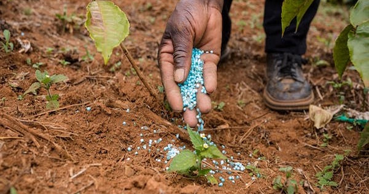 The New Indian Express - Business - News Image