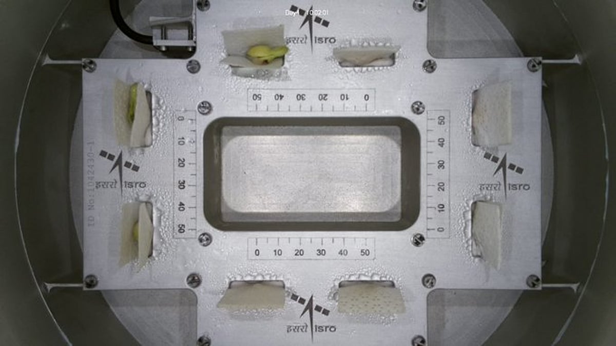 In a first, cowpea seeds germinate under microgravity conditions at ISRO’s Space Lab In a first, cowpea seeds germinate under microgravity conditions at ISRO’s Space Lab