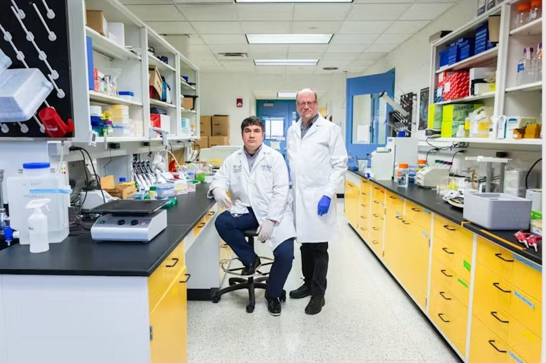 Bogus scientific papers are enriching fraudsters and slowing lifesaving medical research