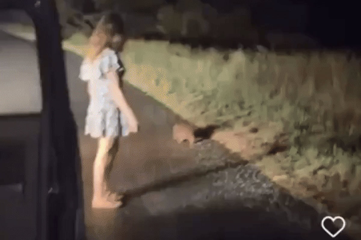 little girl pee gif American influencer leaves Australia after outrage over wombat joey  snatching video