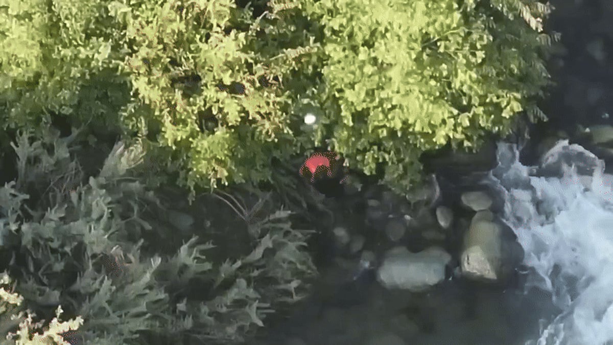 Kulgam youth's death after Army detention sparks political controversy