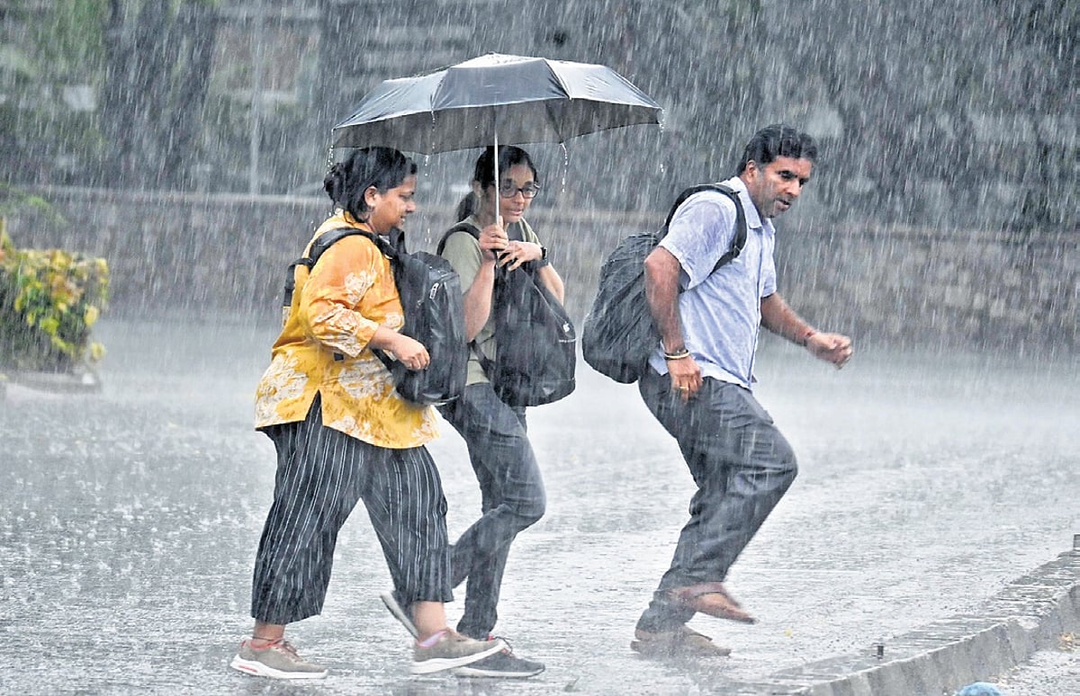 The New Indian Express - Other - News Image