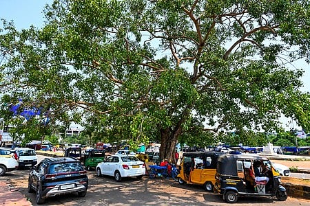 The New Indian Express - Health - News Image