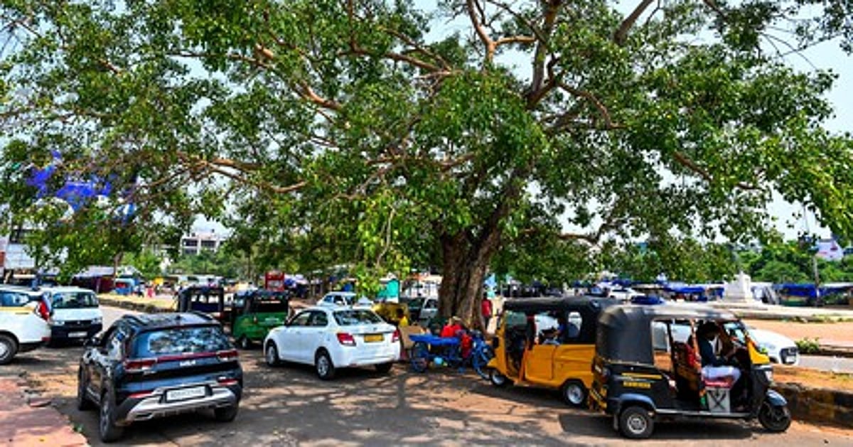 The New Indian Express - Health - News Image