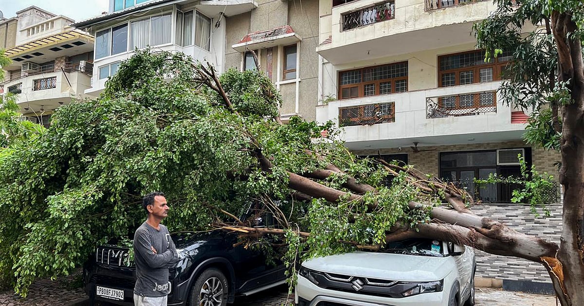 Mayhem: A stormy summer of catastrophe for rootless tree