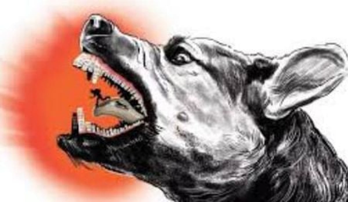 The New Indian Express - Other - News Image