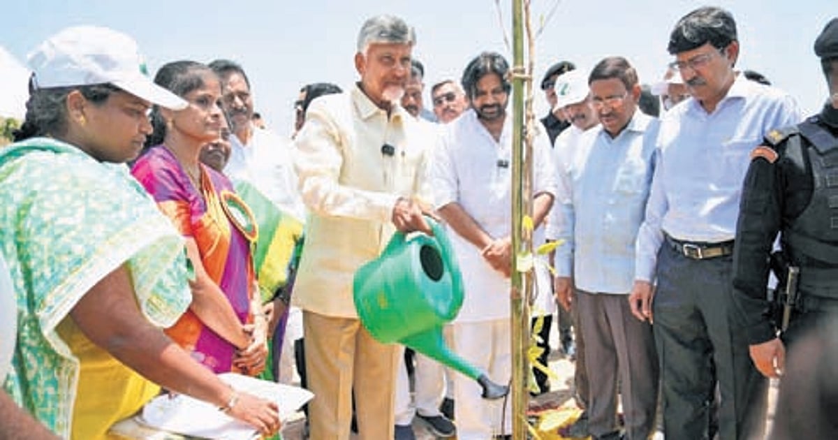 The New Indian Express - Environment - News Image