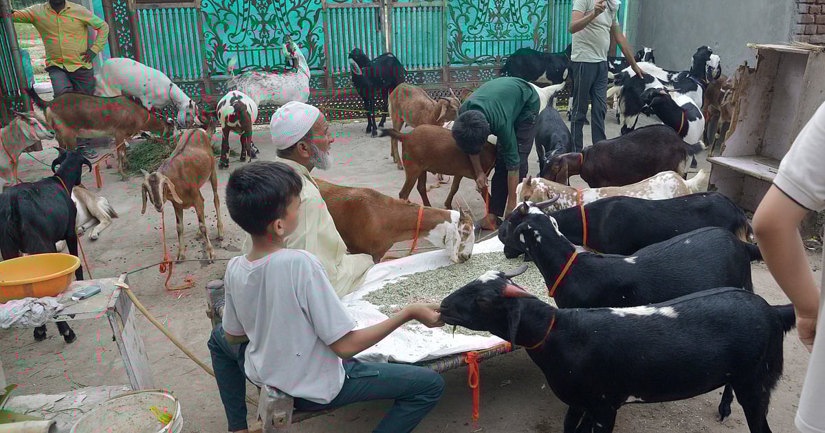 The New Indian Express - Politics - News Image