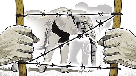 The New Indian Express - Other - News Image