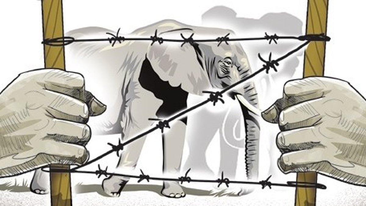 The New Indian Express - Other - News Image