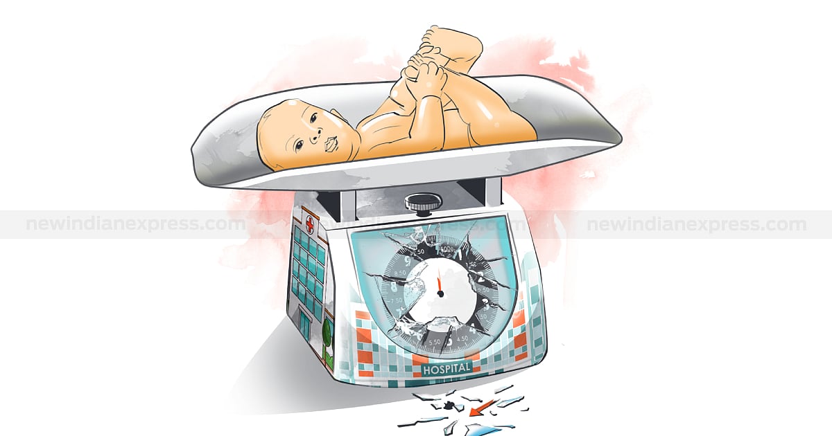 The New Indian Express - Environment - News Image