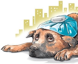 The New Indian Express - Health - News Image