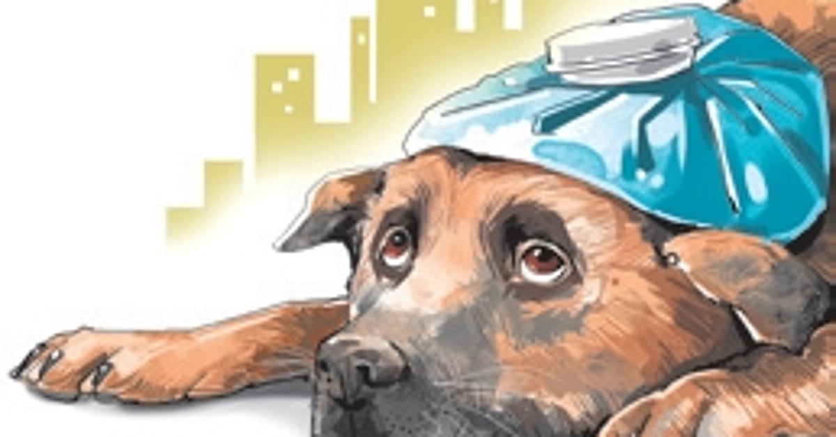 The New Indian Express - Health - News Image