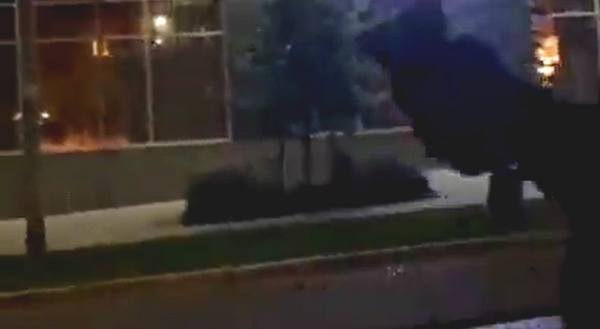 The New Indian Express - Other - News Image