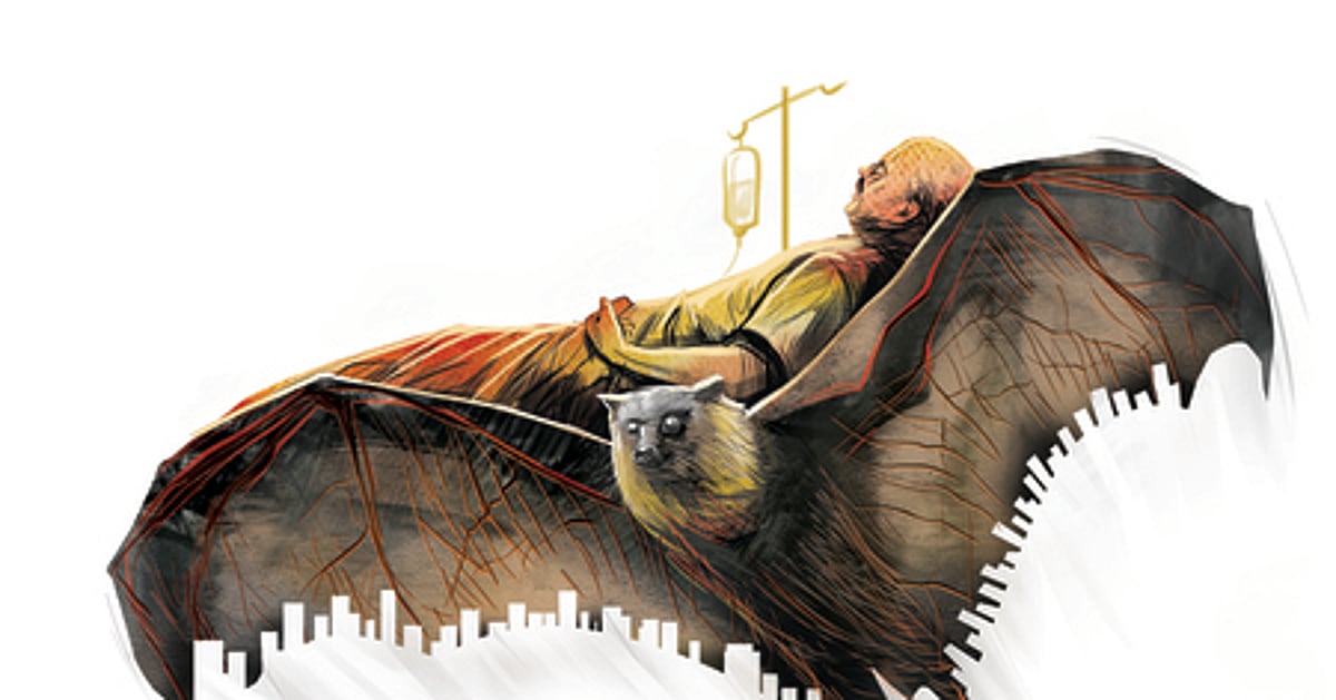 The New Indian Express - Other - News Image