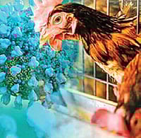 The New Indian Express - Health - News Image