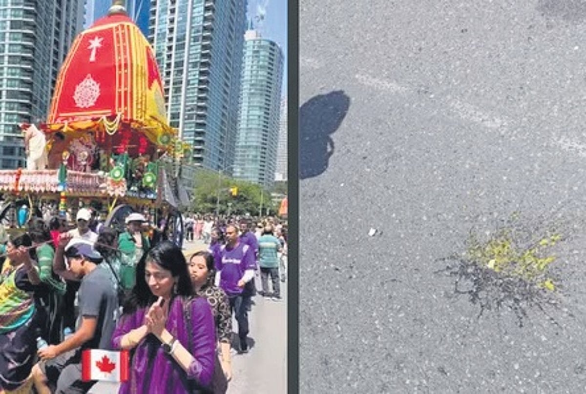 India Demands Action After Egg Attack on Toronto Rath Yatra