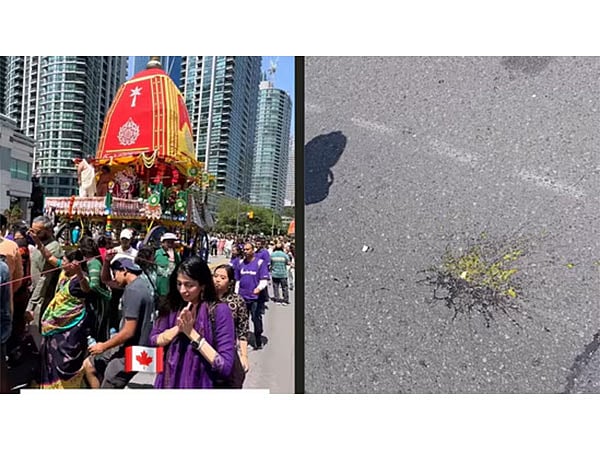 The New Indian Express - Entertainment - News Image