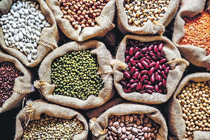 The pulse of food