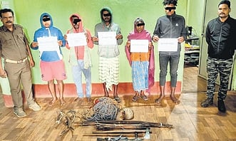 Five poachers held, antlers seized in Odisha's Mayurbhanj district
